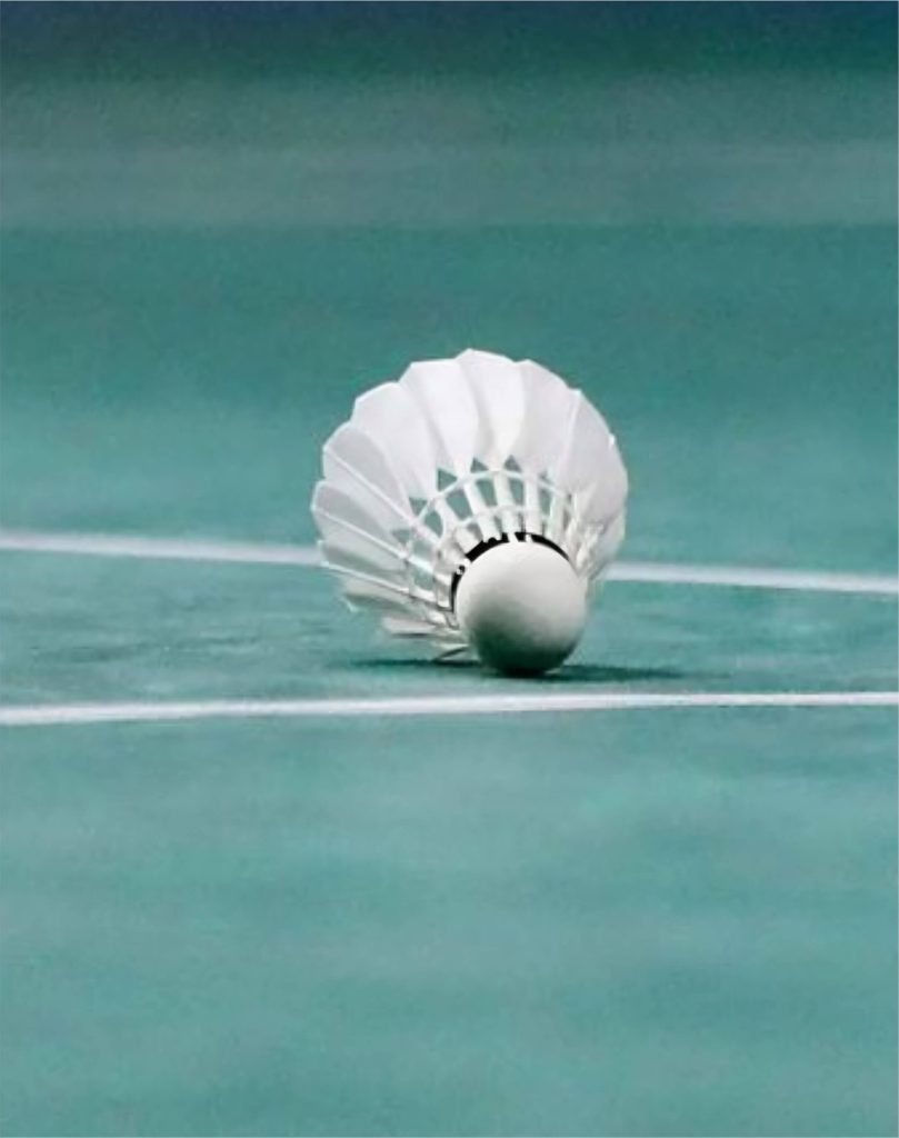 kontraktor lapangan batminton